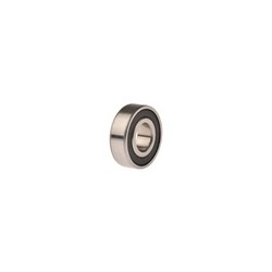 BALERO 6202-2RS