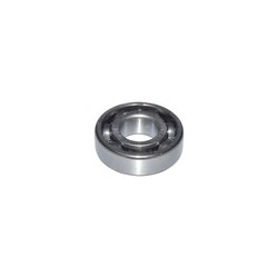 BALERO TM6204E/P53