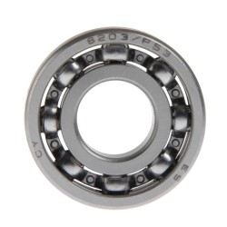 BALERO RADIAL BOLA 6203/P53