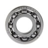 BALERO RADIAL BOLA 6203/P53