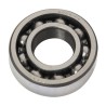 BALERO RADIAL BOLA 6004/P6