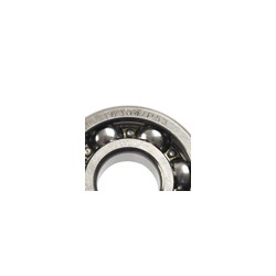 BALERO RADIAL BOLA 6304/P5