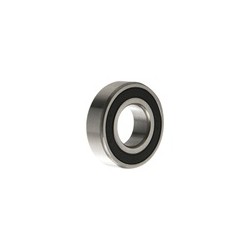 BALERO RADIAL BOLAS 6004-2RS