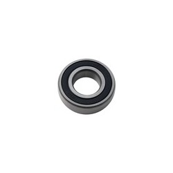 BALERO RADIAL BOLAS 6004-2RS