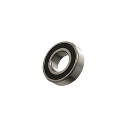 BALERO RADIAL BOLAS 6004-2RS