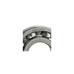 BALERO RADIAL BOLAS 6204/P6