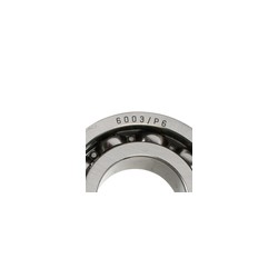 BALERO RADIAL BOLAS 6003/P6