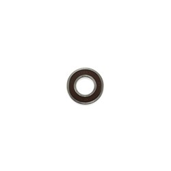 BALERO RADIAL BOLAS 6002-Z