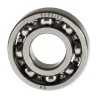 BALERO RADIAL BOLAS 6202/P6