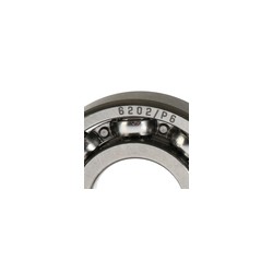 BALERO RADIAL BOLAS 6202/P6