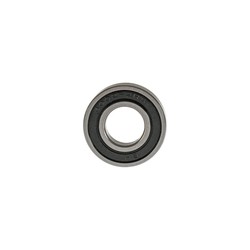 BALERO RADIAL BOLAS 6002-RS/P6