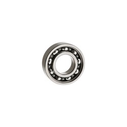 BALERO RADIAL BOLAS 6002-RS/P6