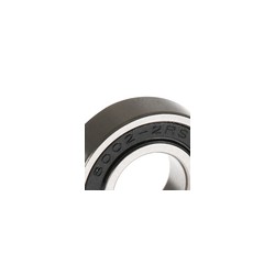 BALERO RADIAL BOLAS 6002-RS/P6