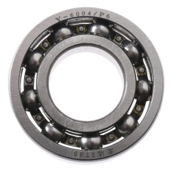 BALERO 6004