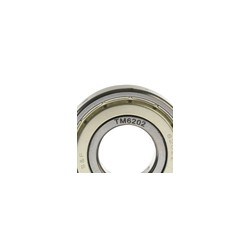 BALERO RADIAL BOLAS 6202Z