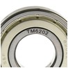 BALERO RADIAL BOLAS 6202Z