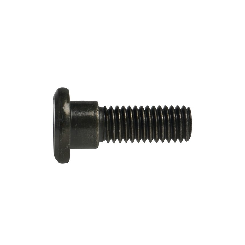 TORNILLO DISCO DE FRENO M8 X25