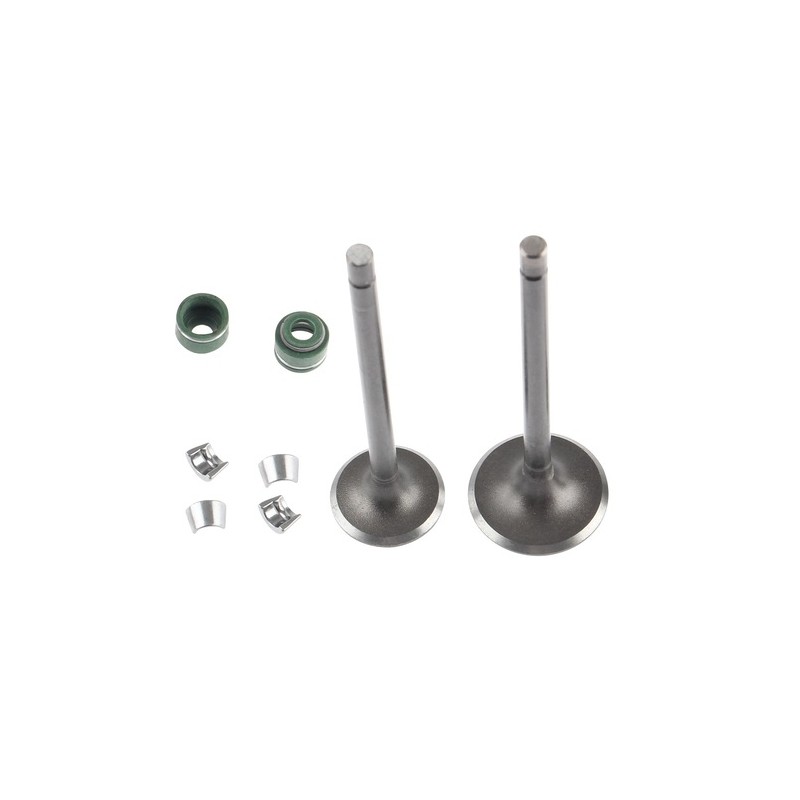 KIT VALVULAS MOTOR