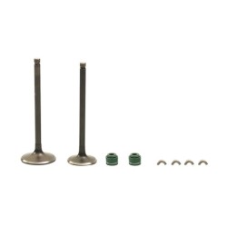 KIT VALVULAS MOTOR