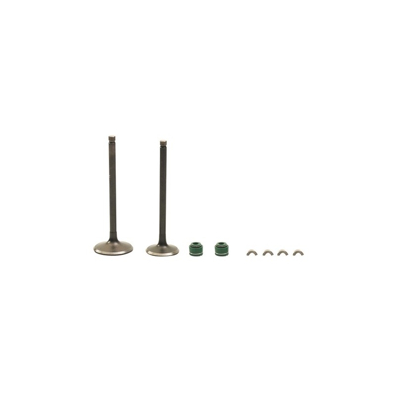 KIT VALVULAS MOTOR