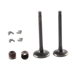 KIT VALVULAS MOTOR
